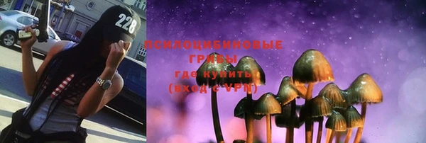 прущие грибы Армянск