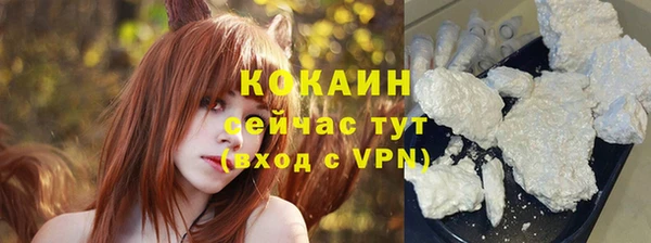 эйфоретик Арсеньев