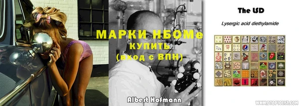 прущие грибы Армянск
