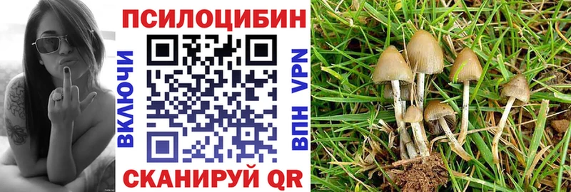 Псилоцибиновые грибы Psilocybe  купить наркотик  Рассказово 